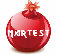 2025-2026 8. Sınıf Nartest Yayınları 4. Deneme Sınavı Kurumsal Cevap Anahtarı